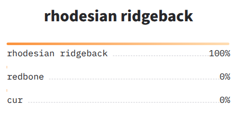 NOVIC open vocabulary classification results