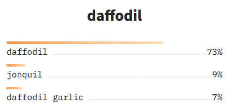 NOVIC open vocabulary classification results