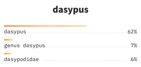 NOVIC open vocabulary classification results