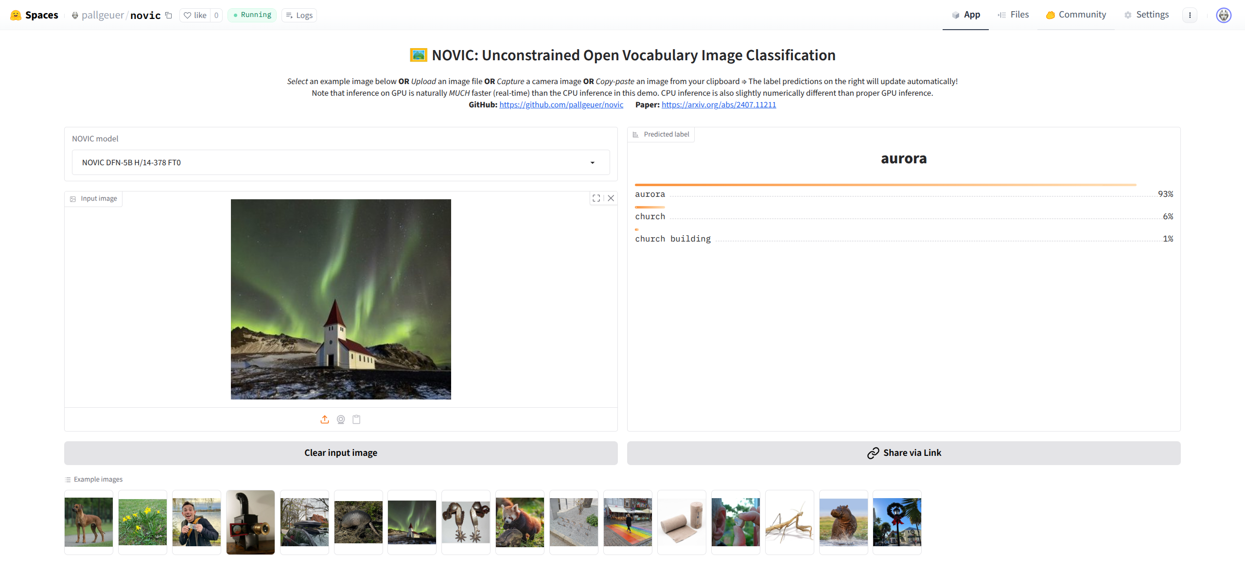Screenshot of live NOVIC model demo on Hugging Face Spaces
