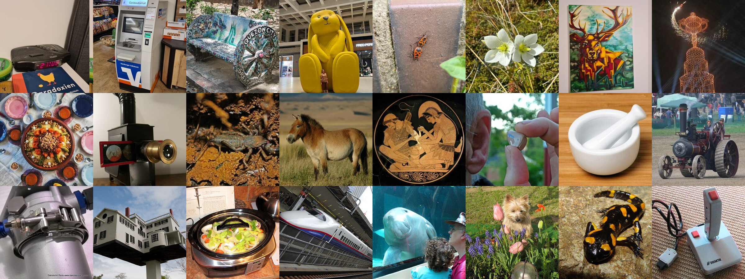 Example images from the OVIC datasets